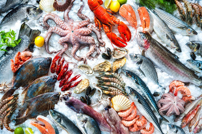 How Long Does Seafood Last in the Fridge?