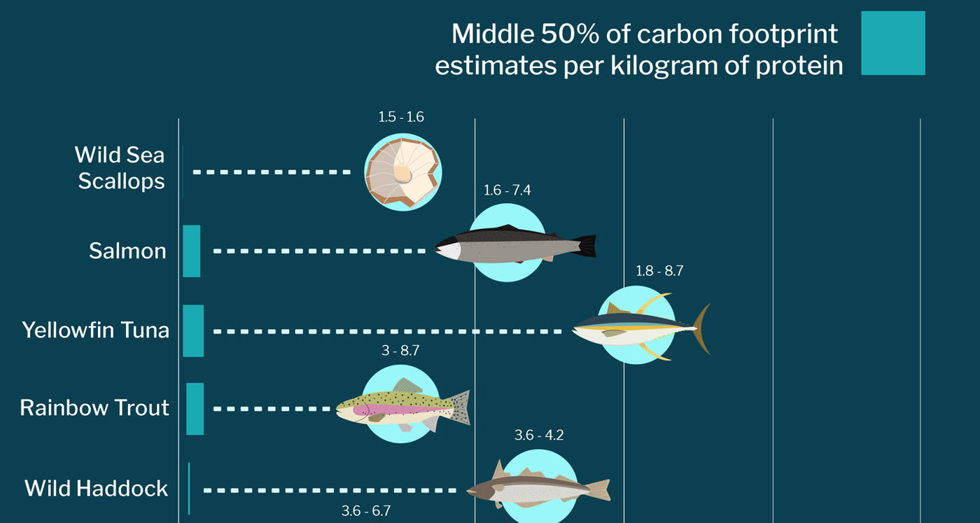 Eat Seafood to Reduce Your Carbon Footprint