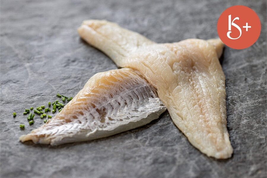 two raw new england haddock fillets