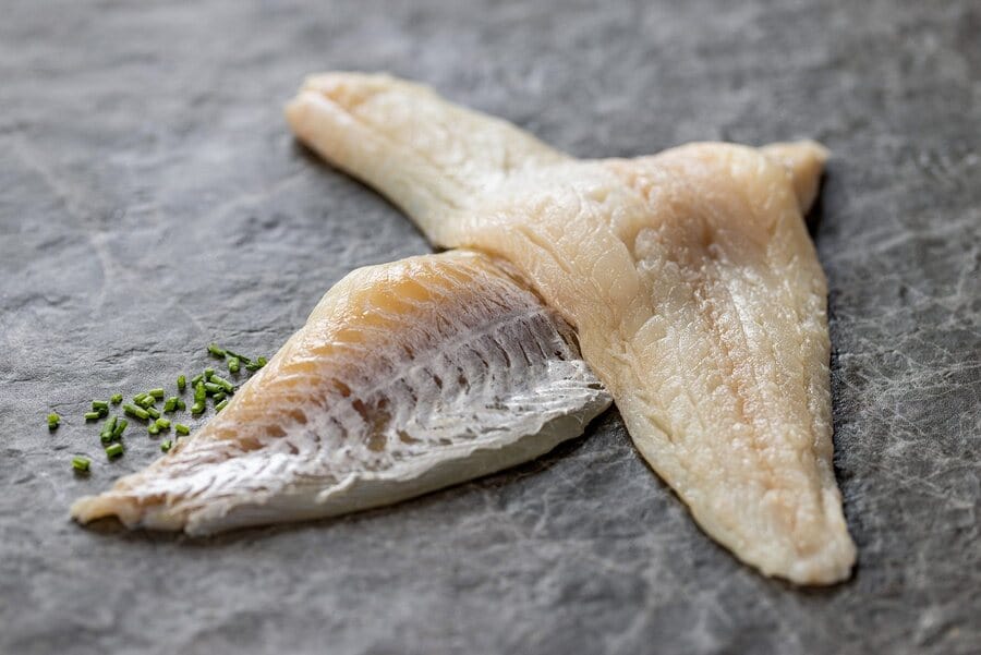 two raw new england haddock fillets