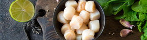 Bowl of scallops