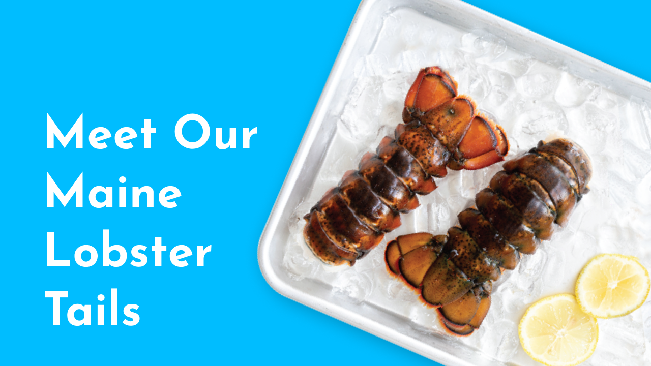 Video showcasing knowseafood maine lobster tails