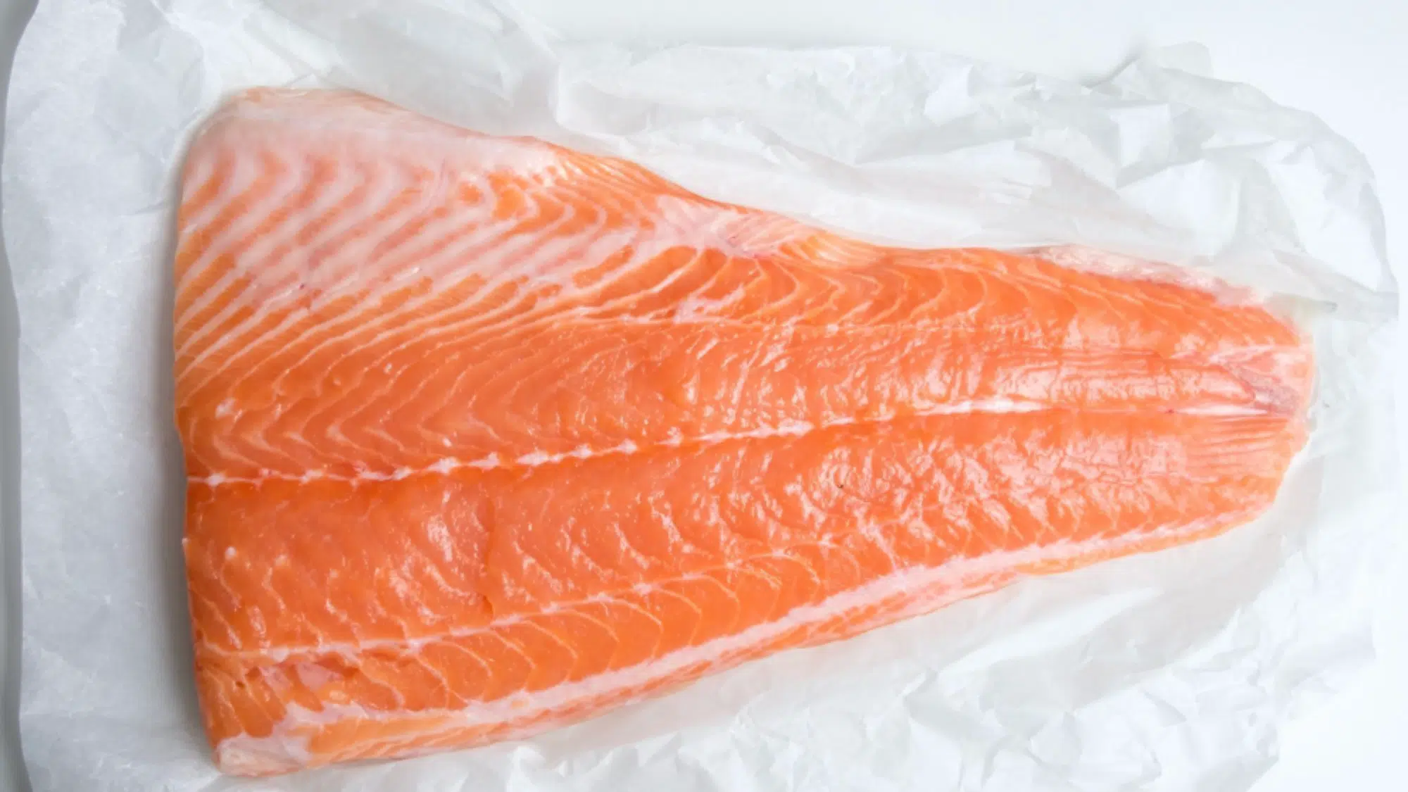 Check if Your Salmon is Spoiled