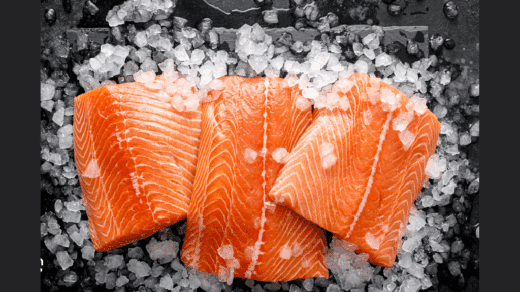 salmon