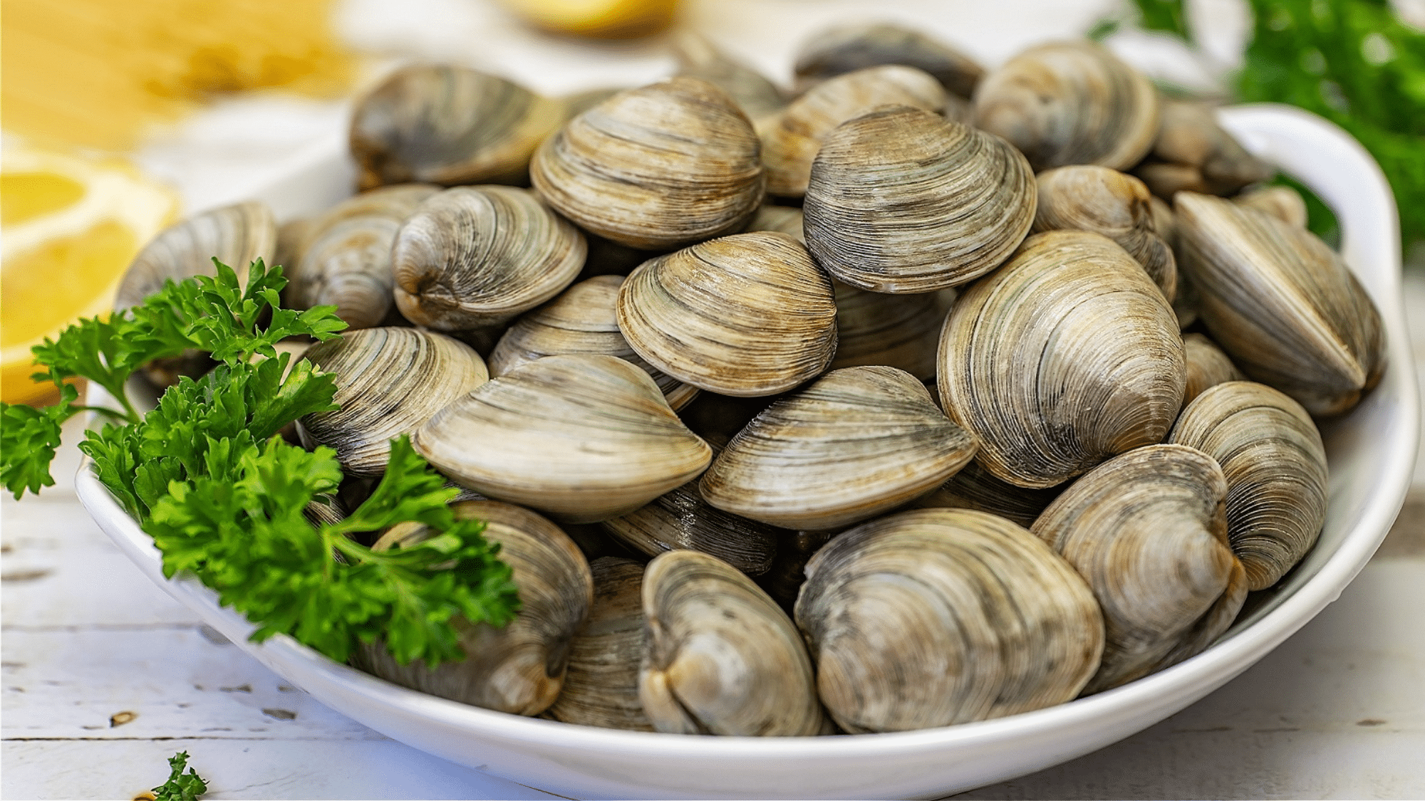 zClams