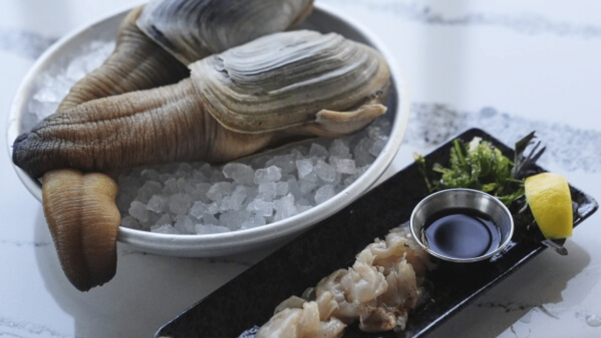 zGeoduck