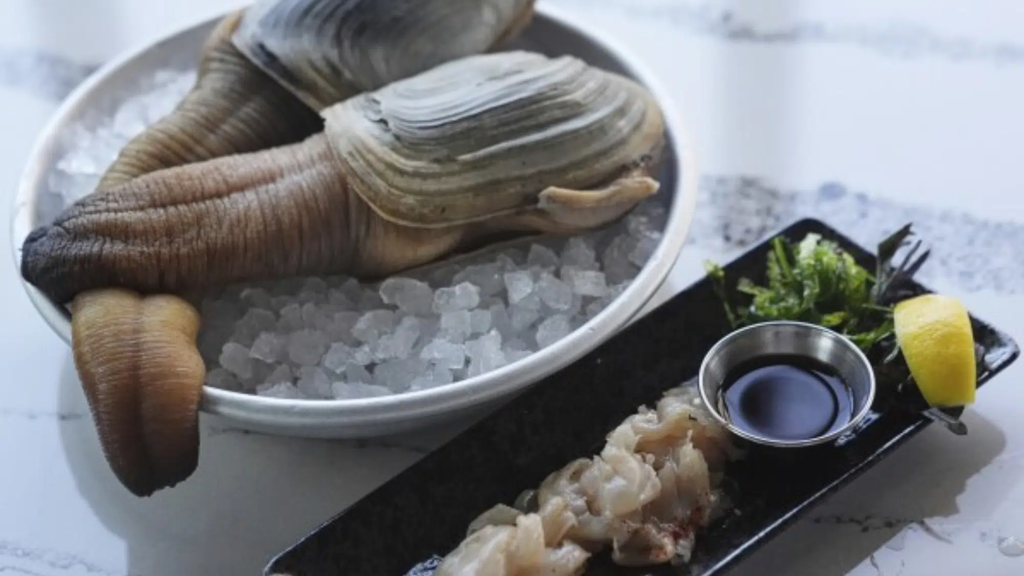 zGeoduck