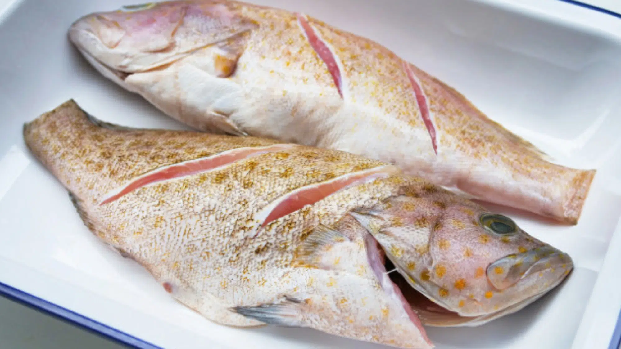 zGrouper
