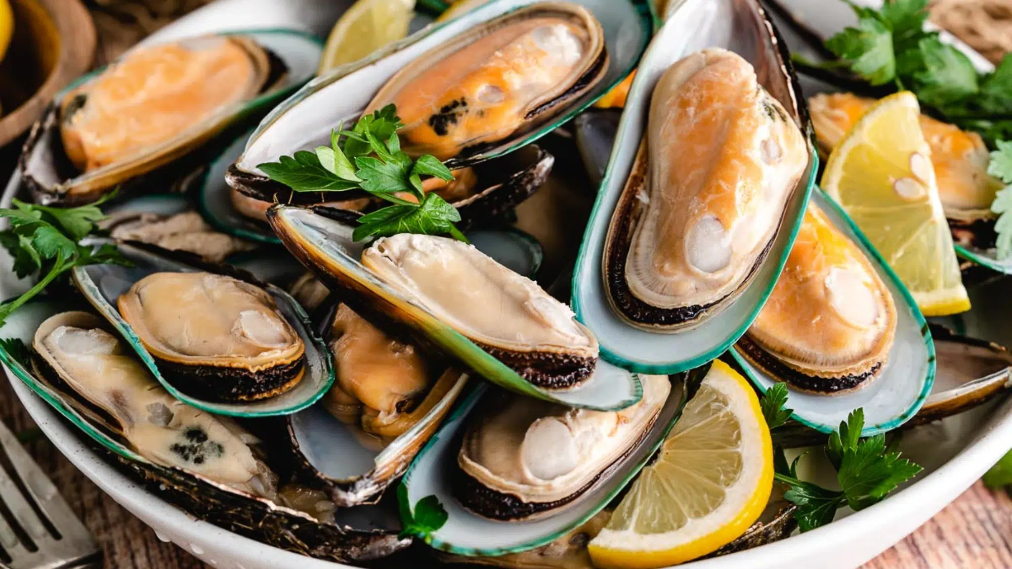 zMussels