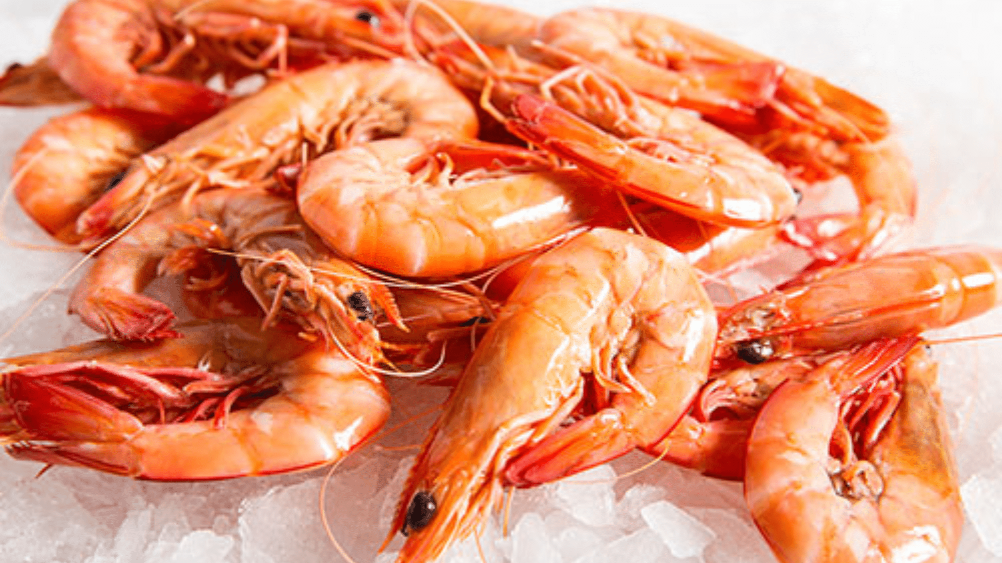 zPrawns