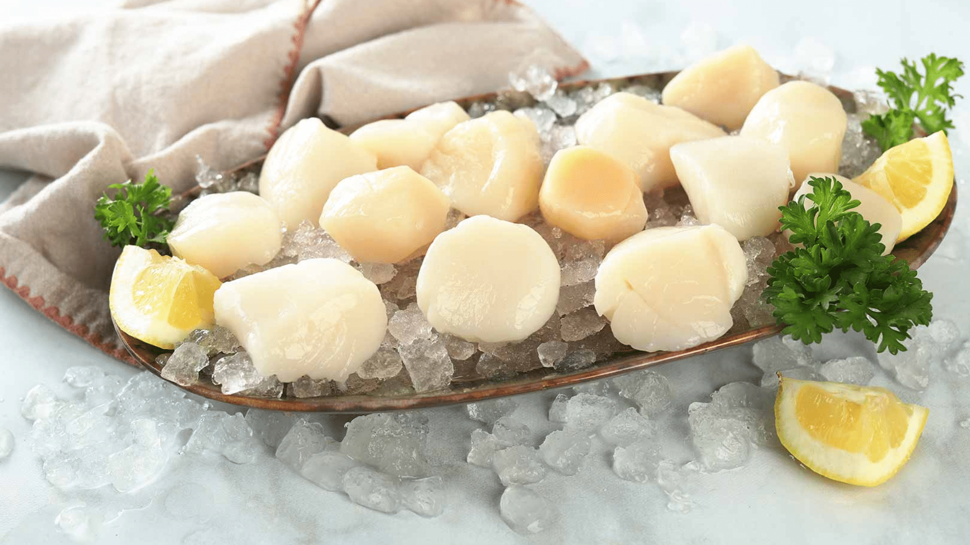 zScallops