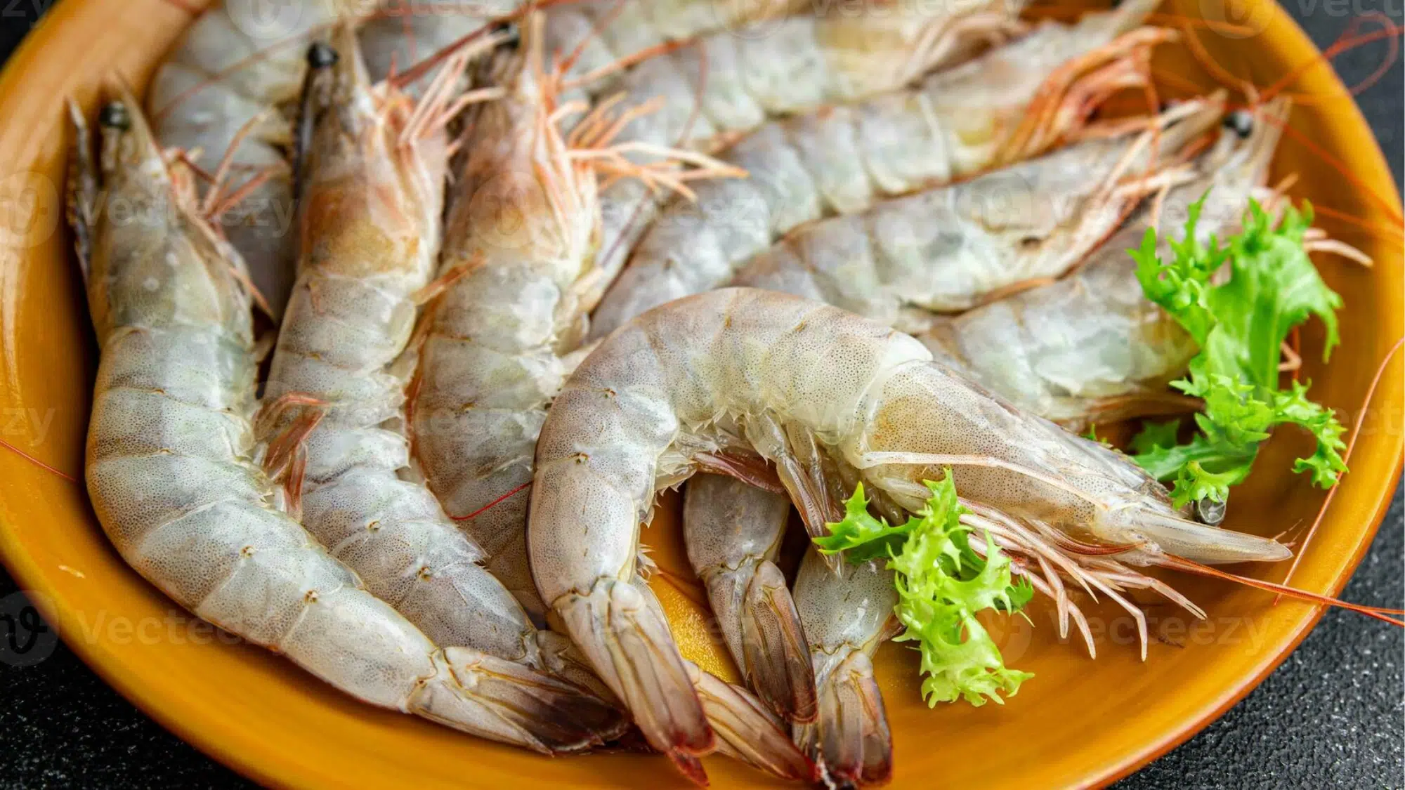 zShrimp
