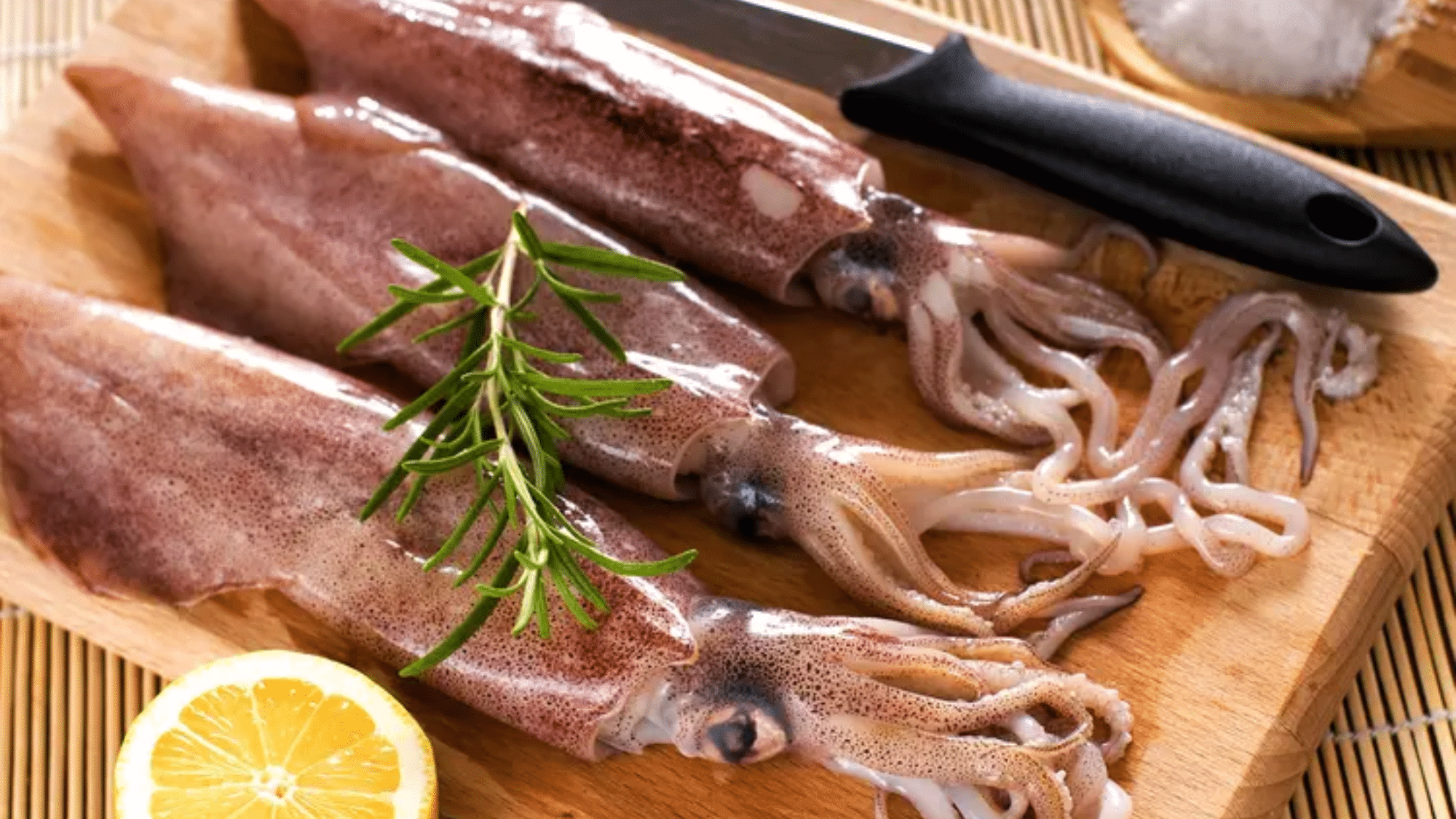 zSquid