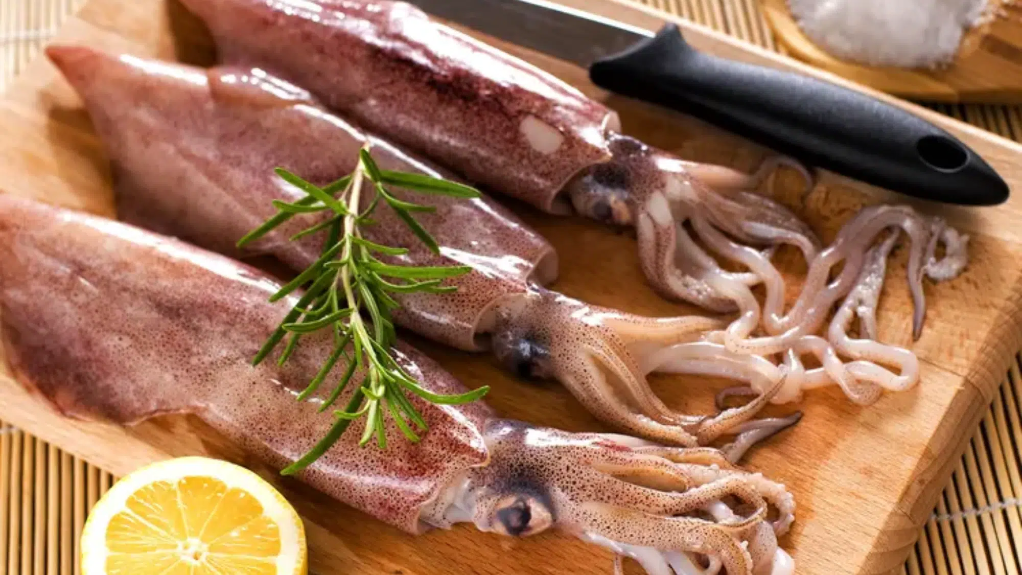 zSquid