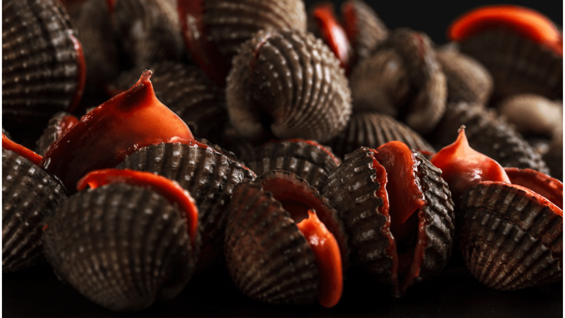 Blood Clams: Are They Worth the Risk?