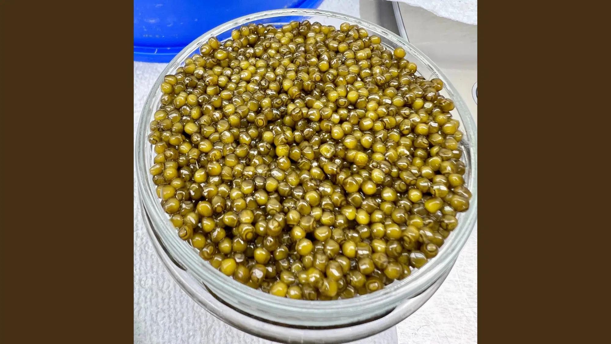 Kaluga Caviar