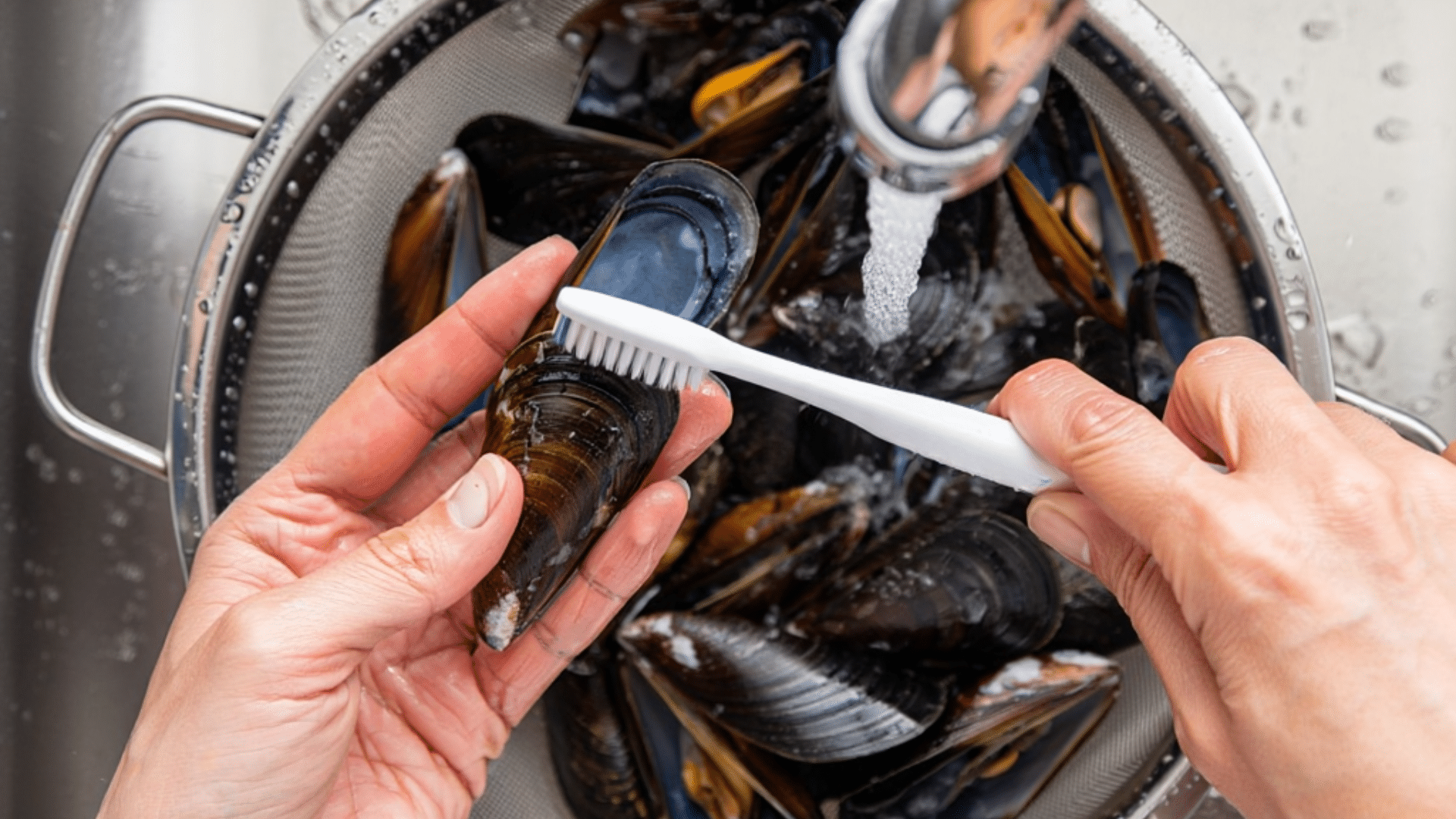 step 1 cleaning and preparing mussels properly