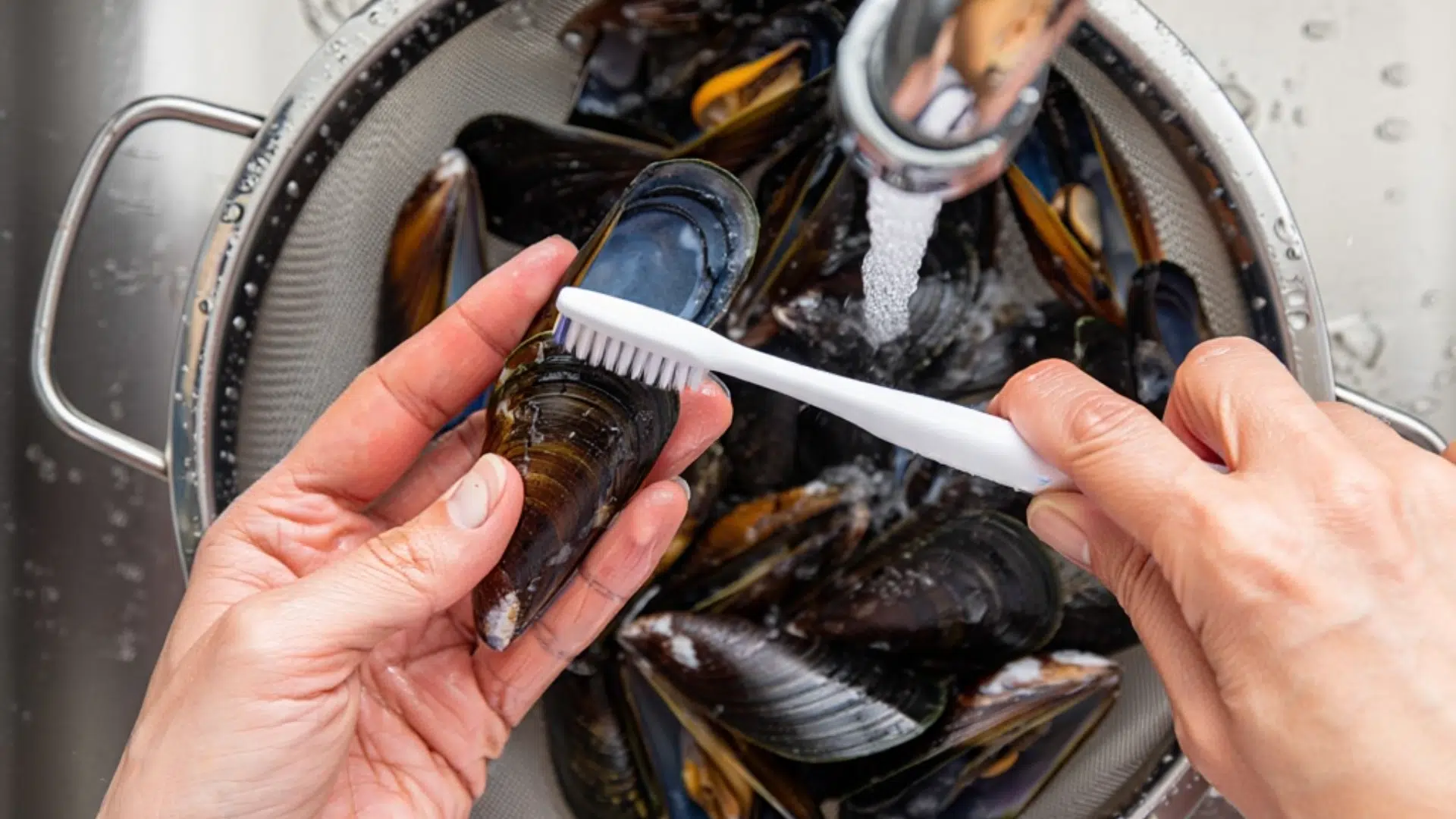step 1 cleaning and preparing mussels properly