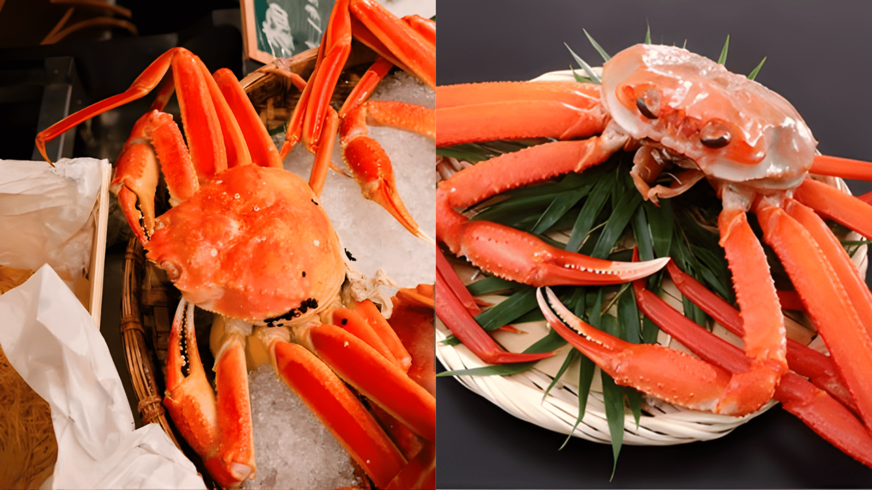 bairdi crab vs snow crab