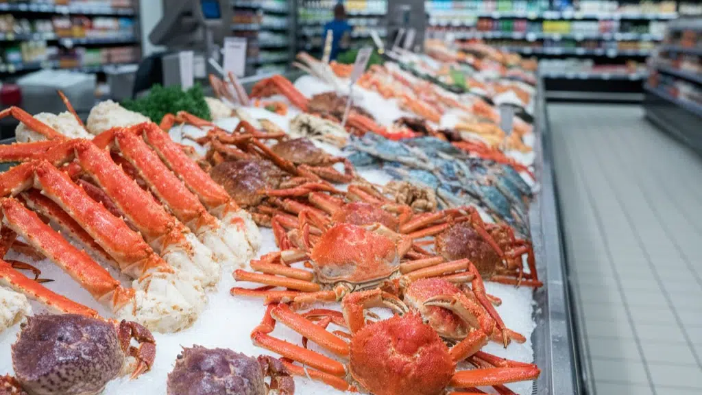 which one should you choose