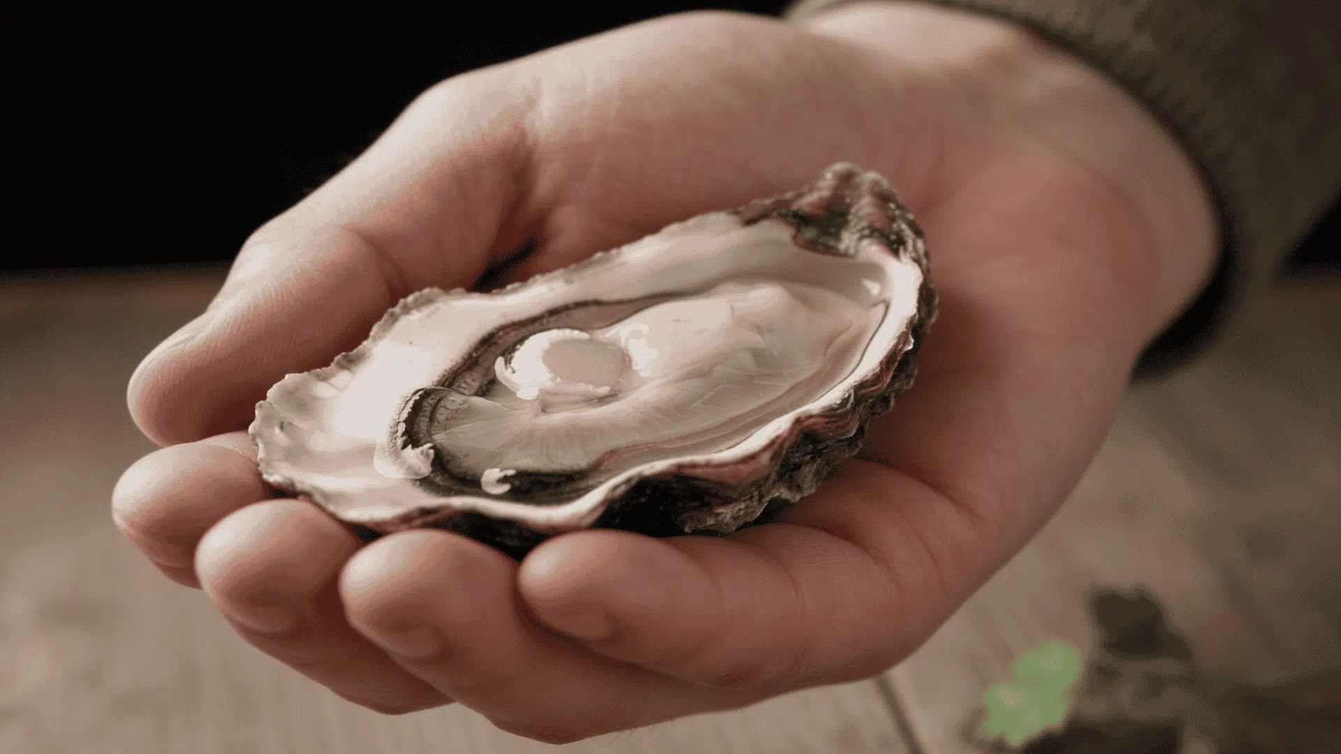 Freshly shucked raw oyster resting in the palm of a hand over a wooden surface