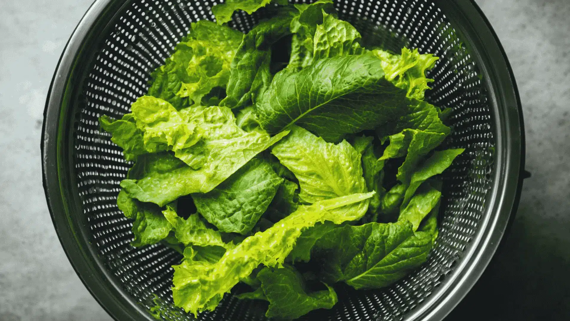fresh green lettuce leaves in a dark metal colander from a top view show how to use a salad spinner to dry vegetables
