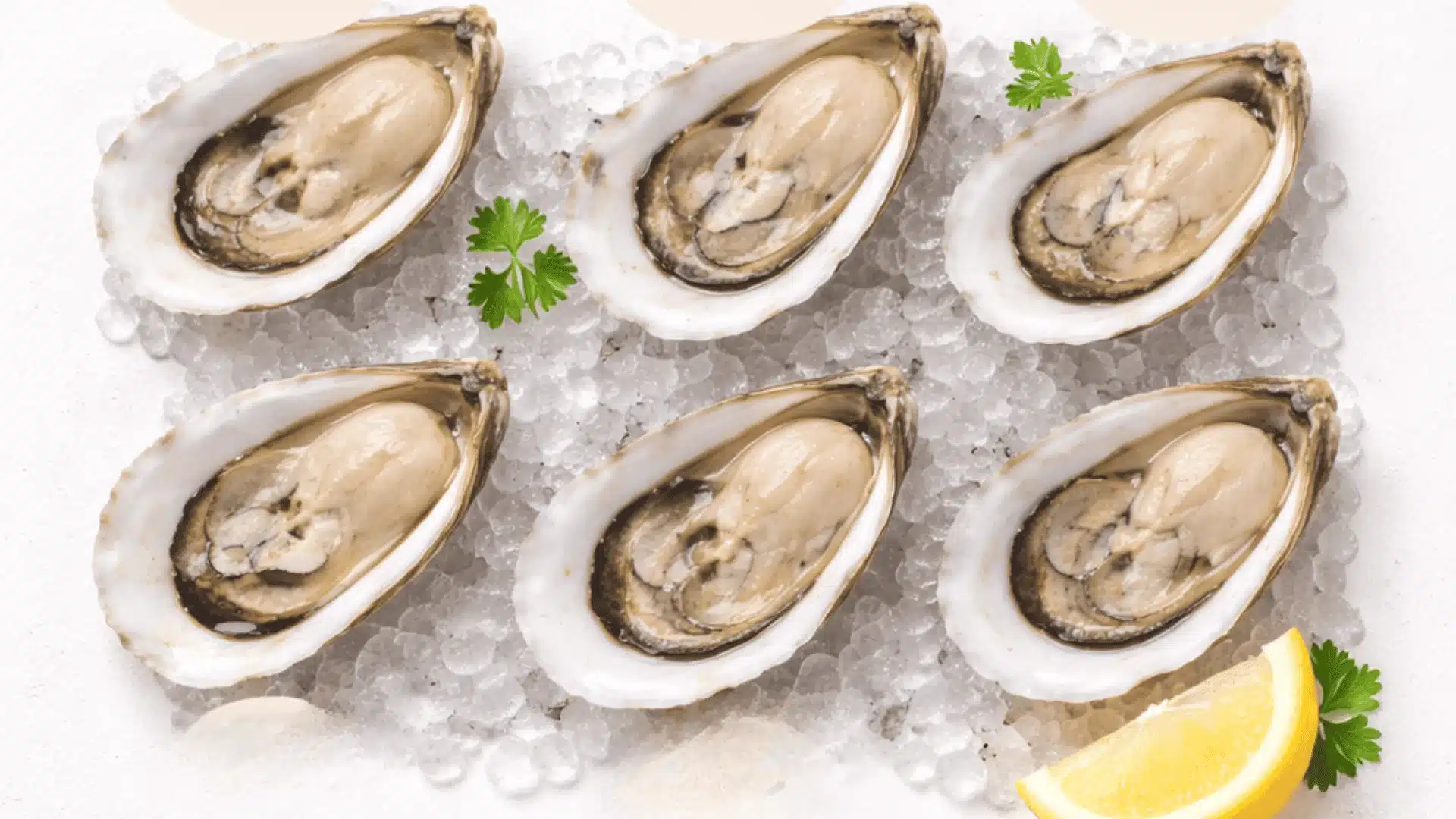displaying oyster calories per serving with six raw oysters and calorie values