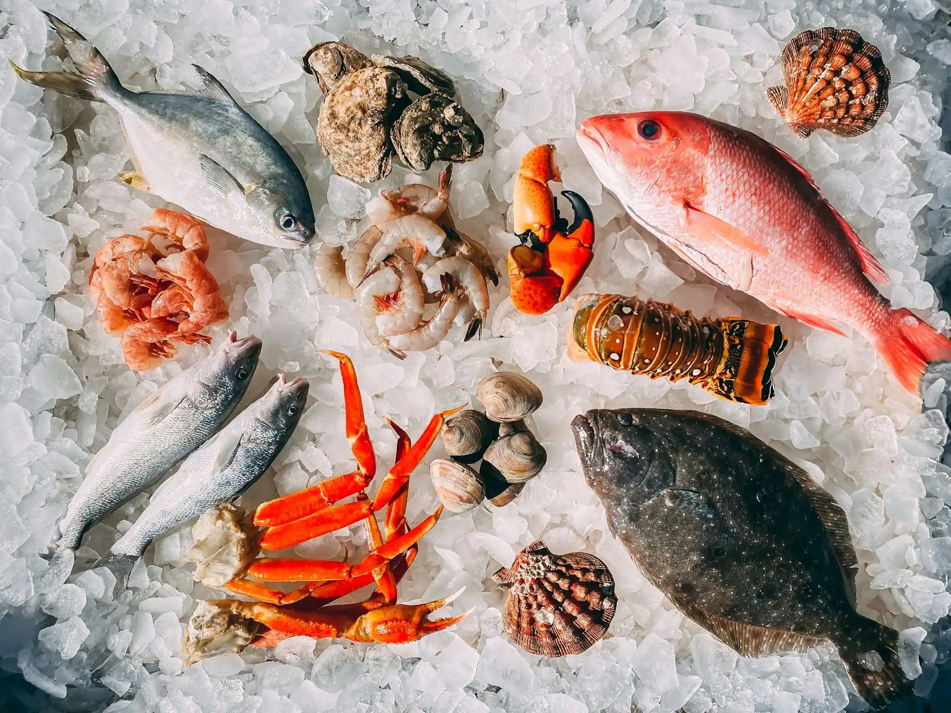 Creative Marketing Campaigns for Sustainable Seafood: Ideas That Build Loyalty Without Greenwashing