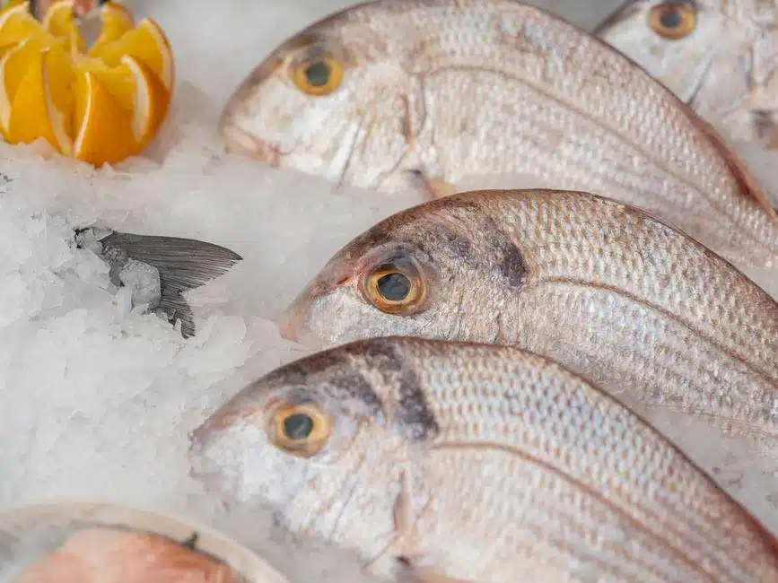 Fresh seafood on ice behind a glass display fridge