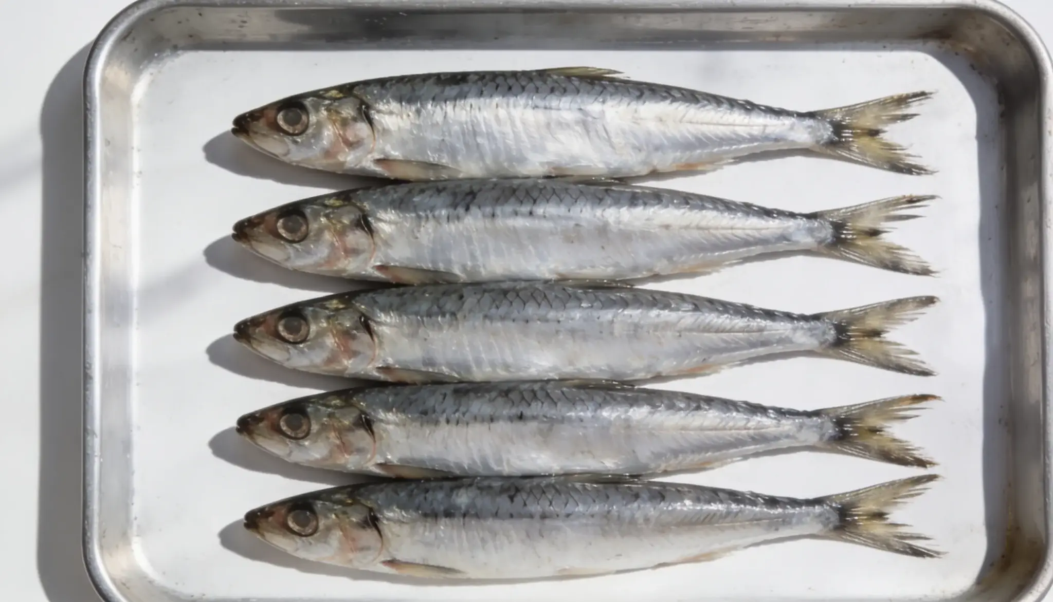 Five fresh sardines are arranged in a line on a metal baking tray.