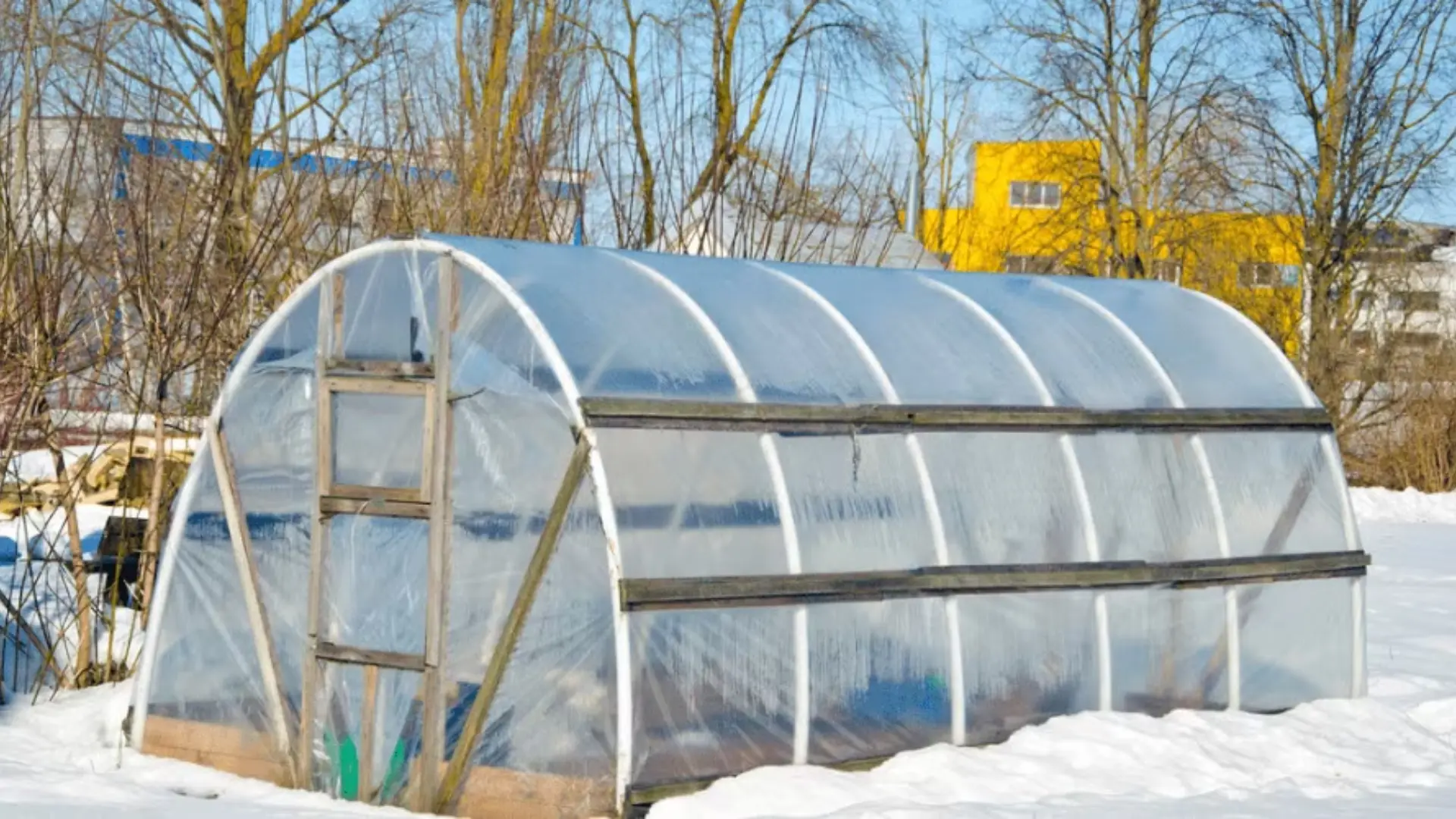 A plastic covered greenhouse protecting plants from cold weather in a snowy garden