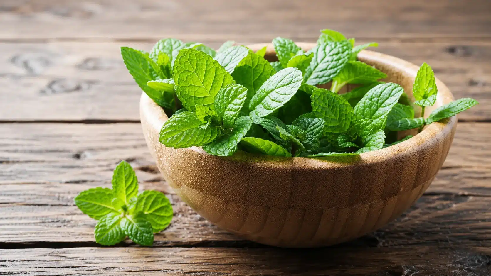 fresh mint leaves fill a wooden bowl on a rustic table, with a small mint sprig resting beside it in warm natural light