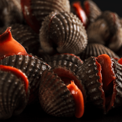 Blood Clams: Are They Worth the Risk?