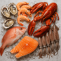 Seafood Types
